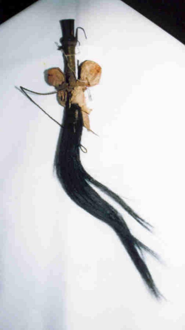 (Enxota moscas)