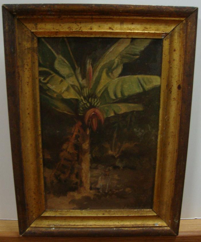 Bananeira e cão