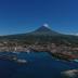 Estandarte Madalena do Pico