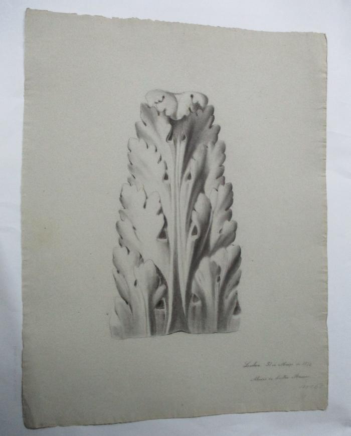 Desenho académico