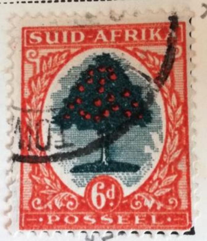 Selo da África do Sul
