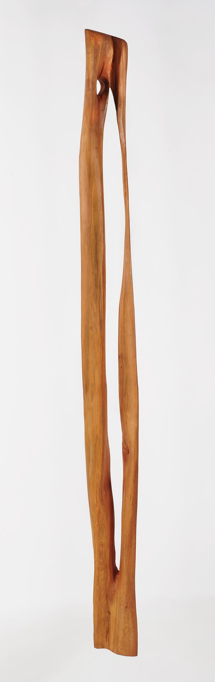 Extensão
