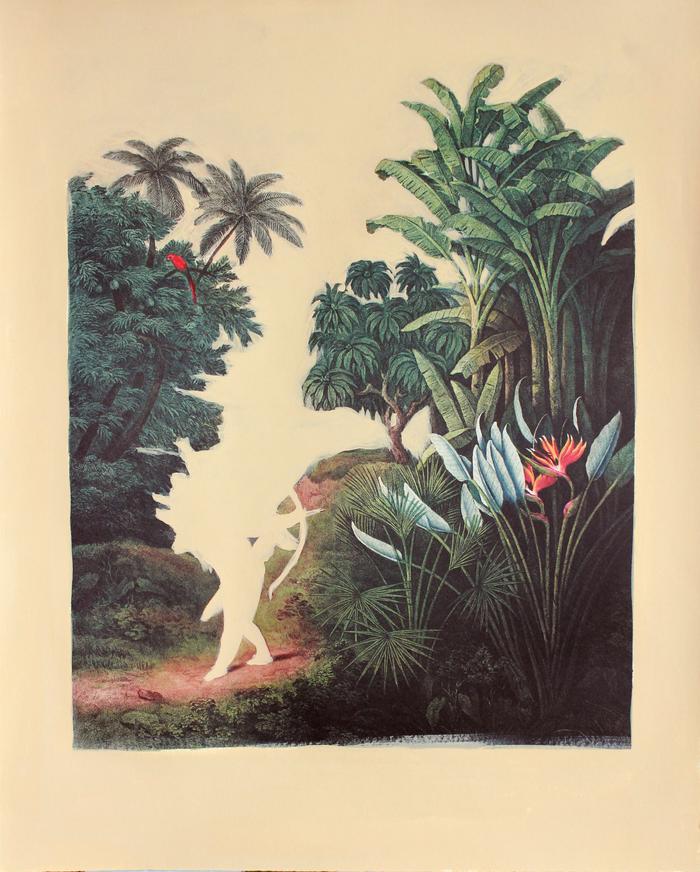 da série Flora V