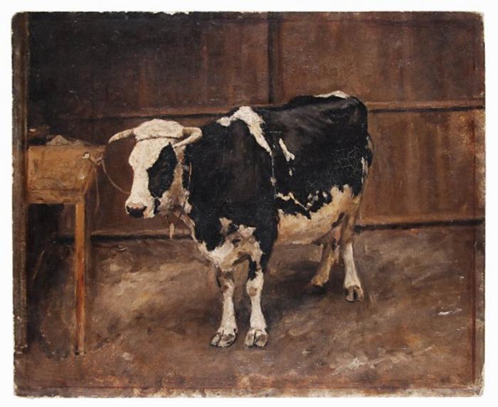 Vaca no estábulo (Frente)