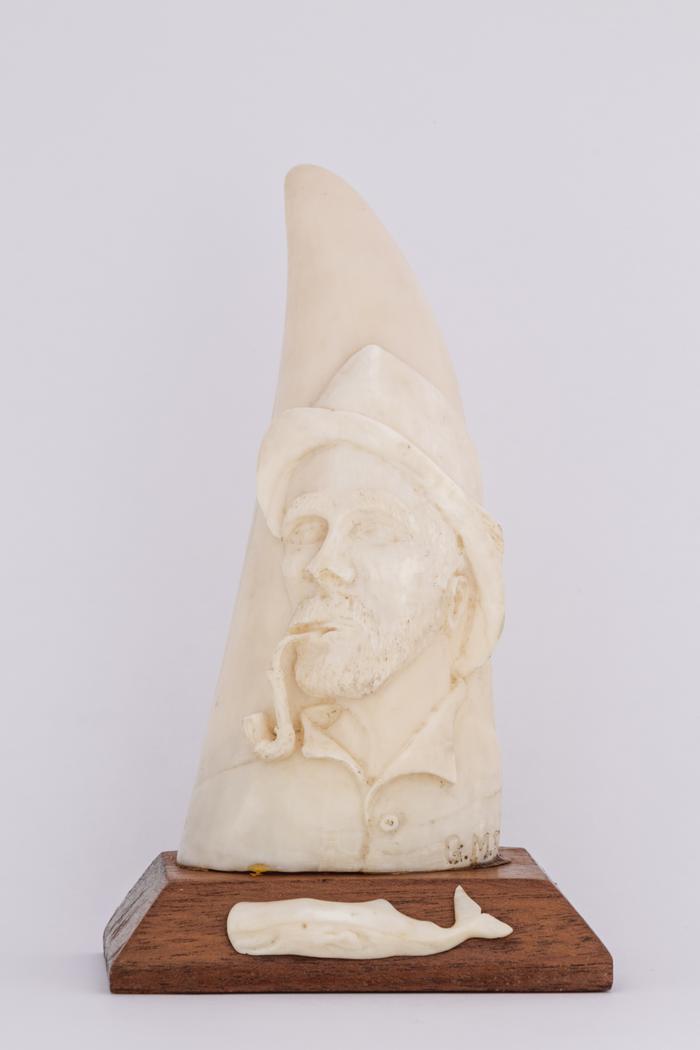Dente de Cachalote