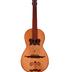 Viola da terra