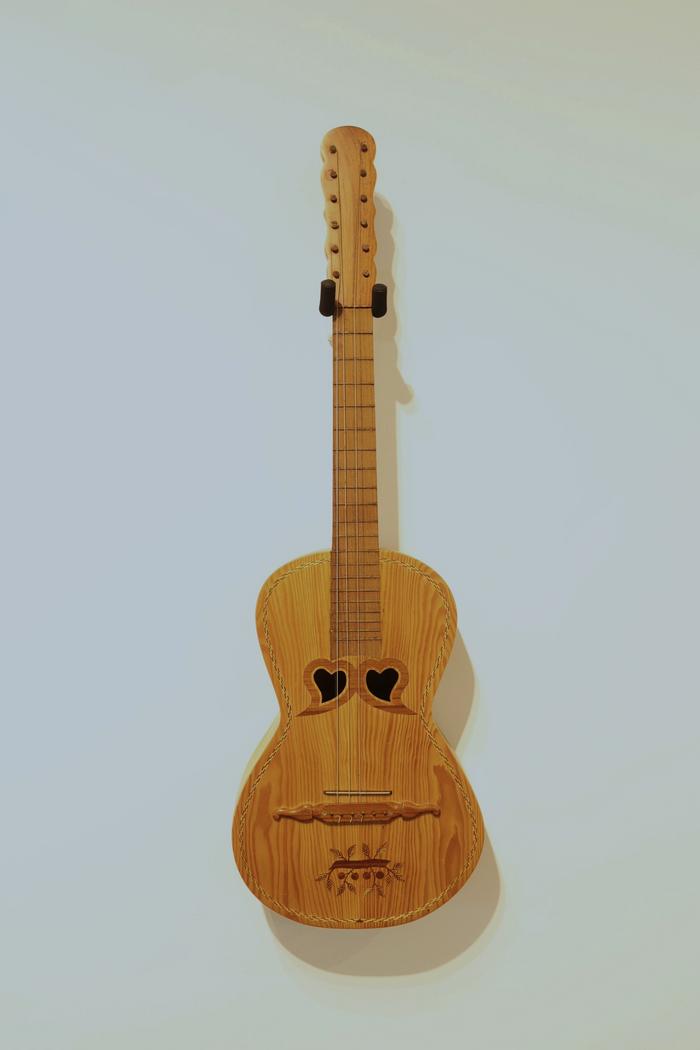 Viola da terra