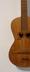 Viola da terra