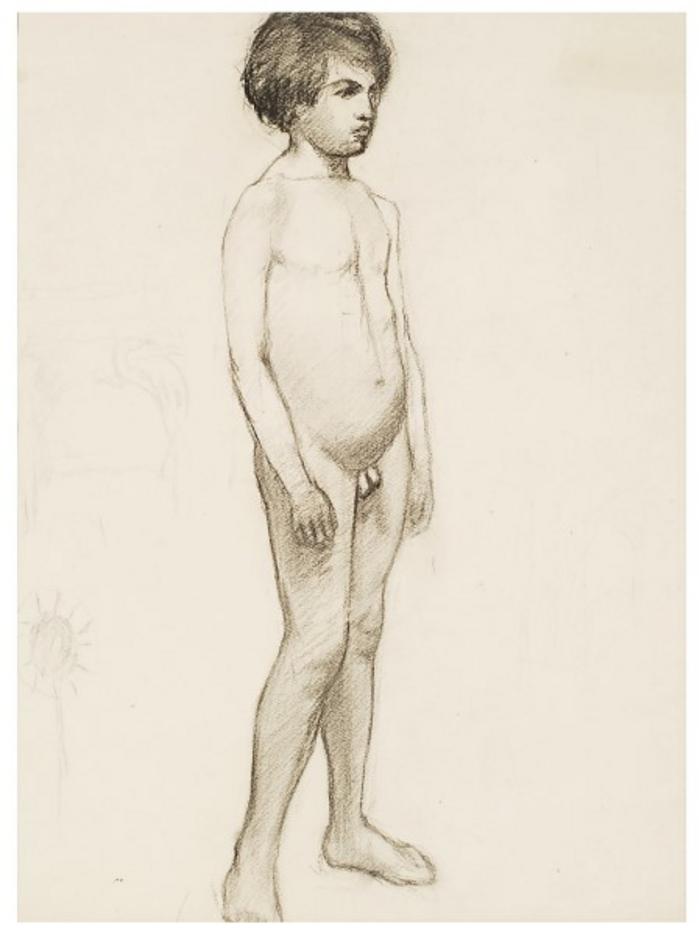 Académia de nu masculino