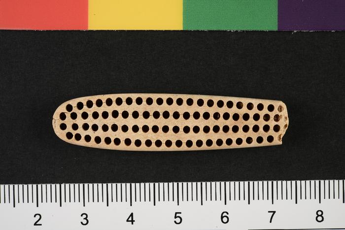Fragmento de provável escova de dentes