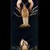 Procambarus clarkii (Girard, 1852) 10-3-2023