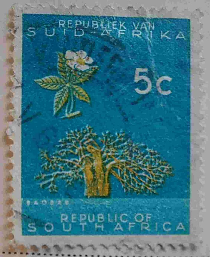 selo 5C