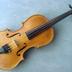 Violino