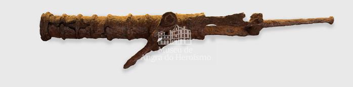 Fotografia com marca de água