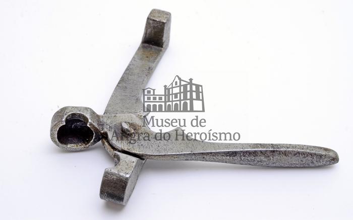 Fotografia com marca de água