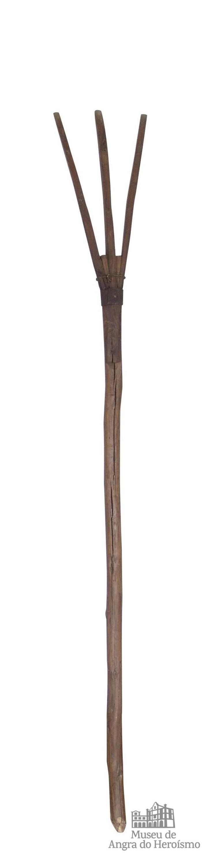 Forcado