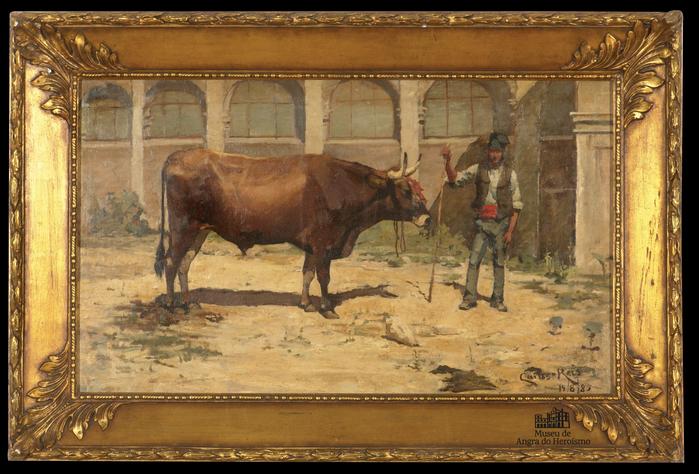 Boi do Espírito Santo