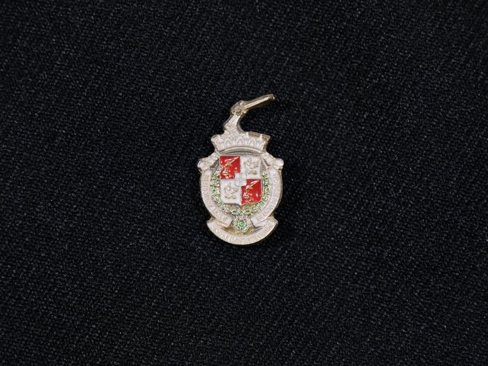 Pin de Angra do Heroísmo