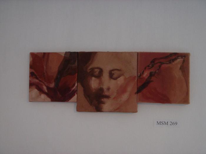  Pintura (MSM269)