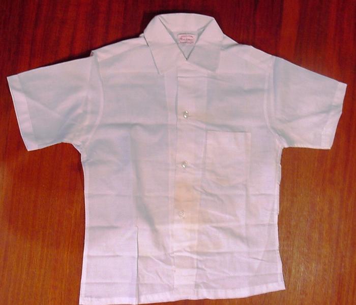 Camisa