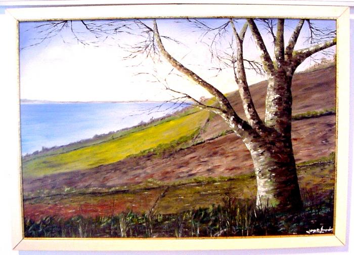 Pintura - Costa do Carapacho 