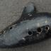 Ocarina