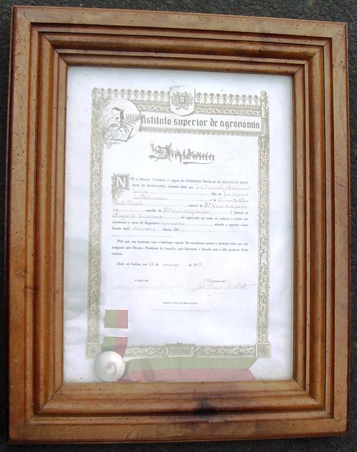 Diploma 