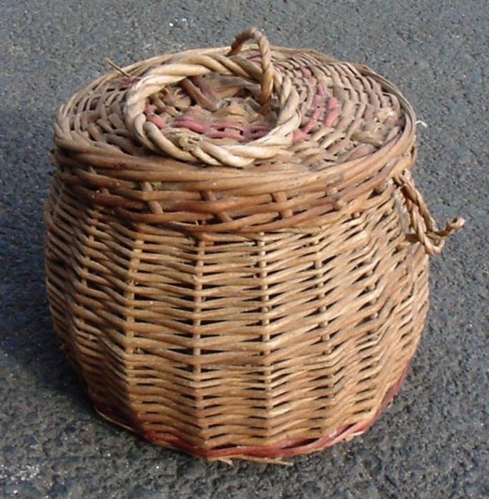 Cesta