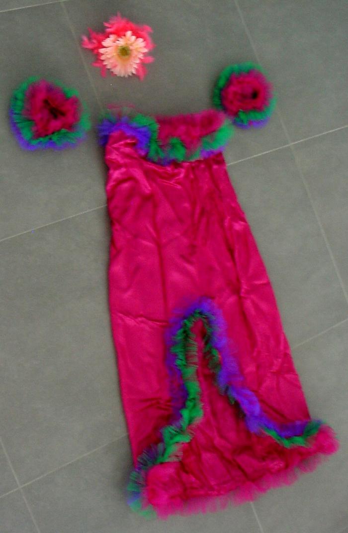 Fantasia / Vestido