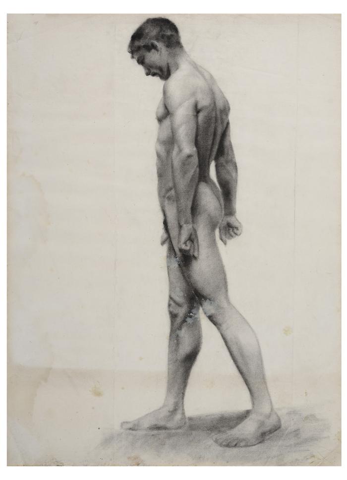 Académia de nu masculino