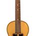 Viola da Terra