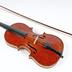Violino