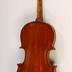Violino