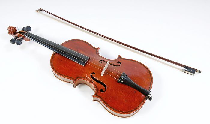 Violino