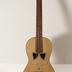 Viola da Terra