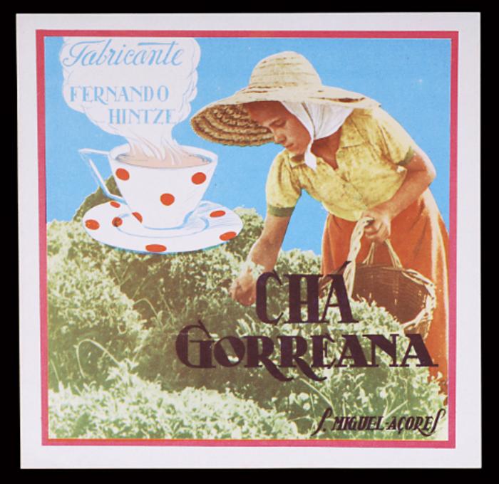 Rótulo do Chá Gorreana