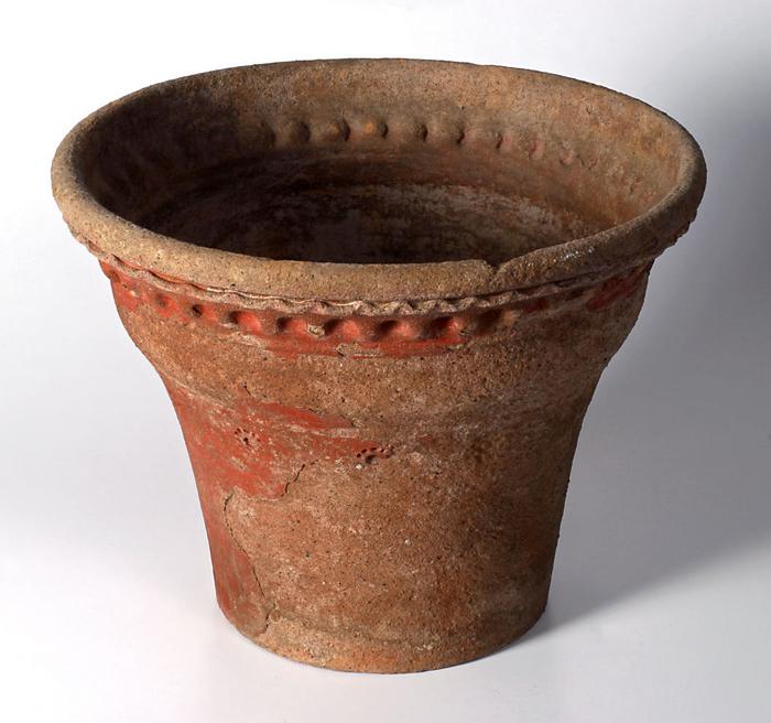 Vaso de plantas