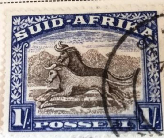 Selo da África do Sul