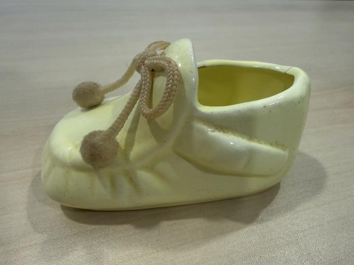 Bota