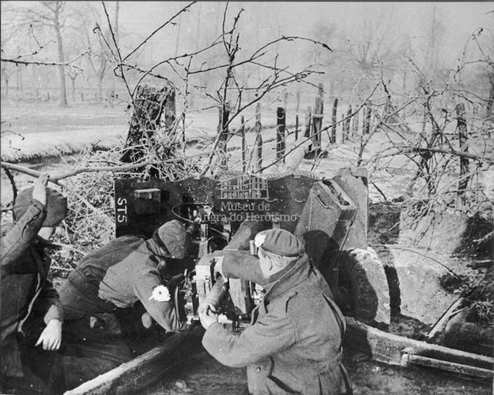 "British troops in Holland have found the end of the year foggy and bittery cold."