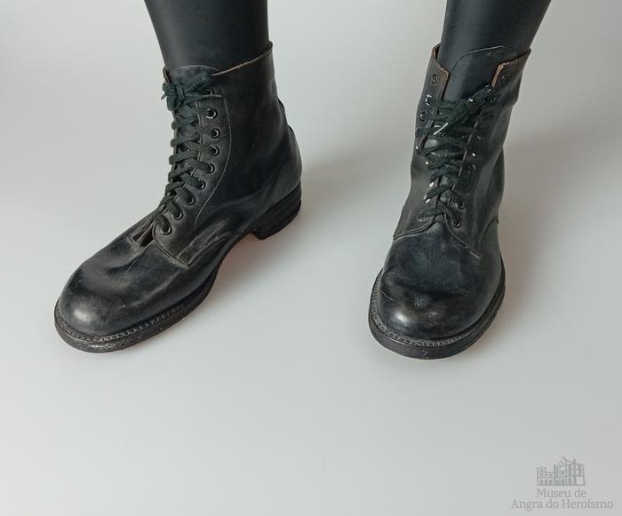 Par de botas 