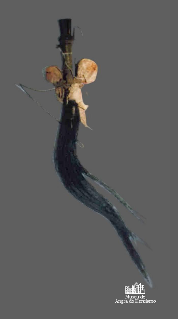 Enxota moscas
