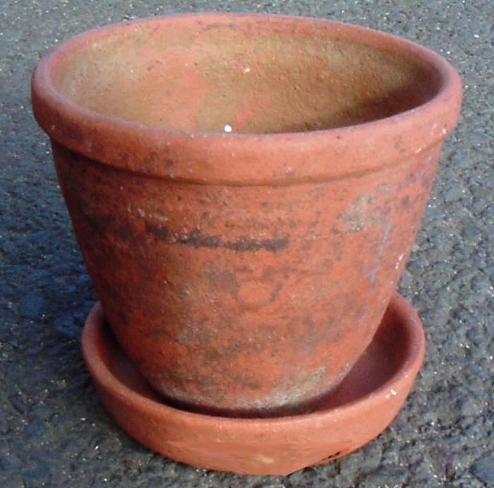 Vaso