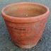 Vaso
