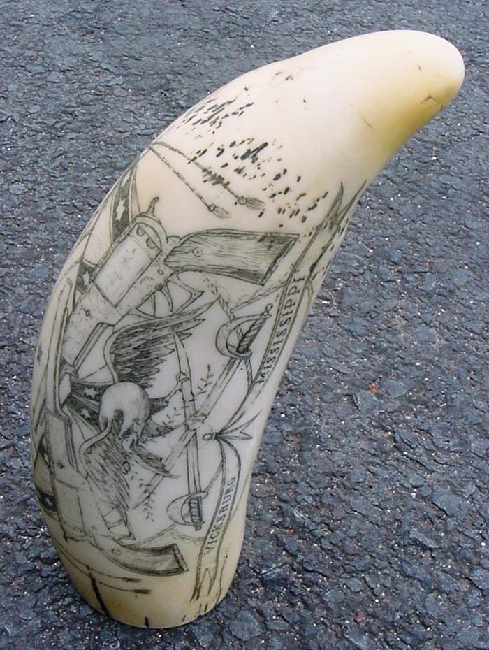 Scrimshaw
