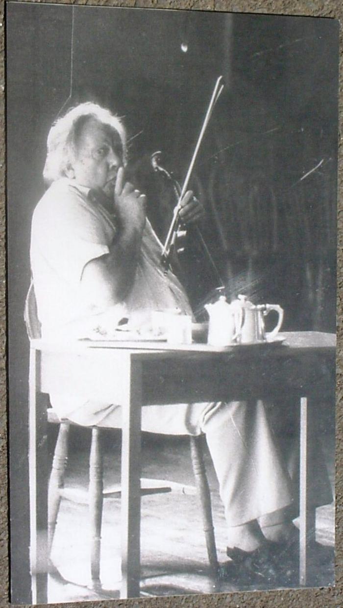 Violinista Sandorveg